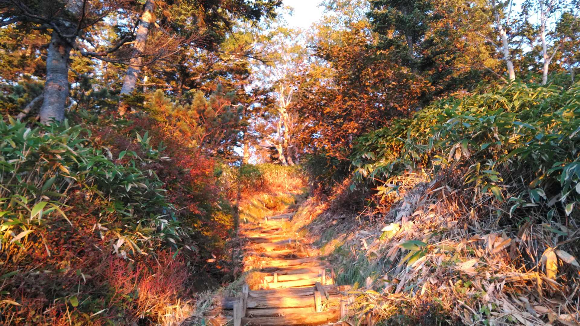 朝日に燃える