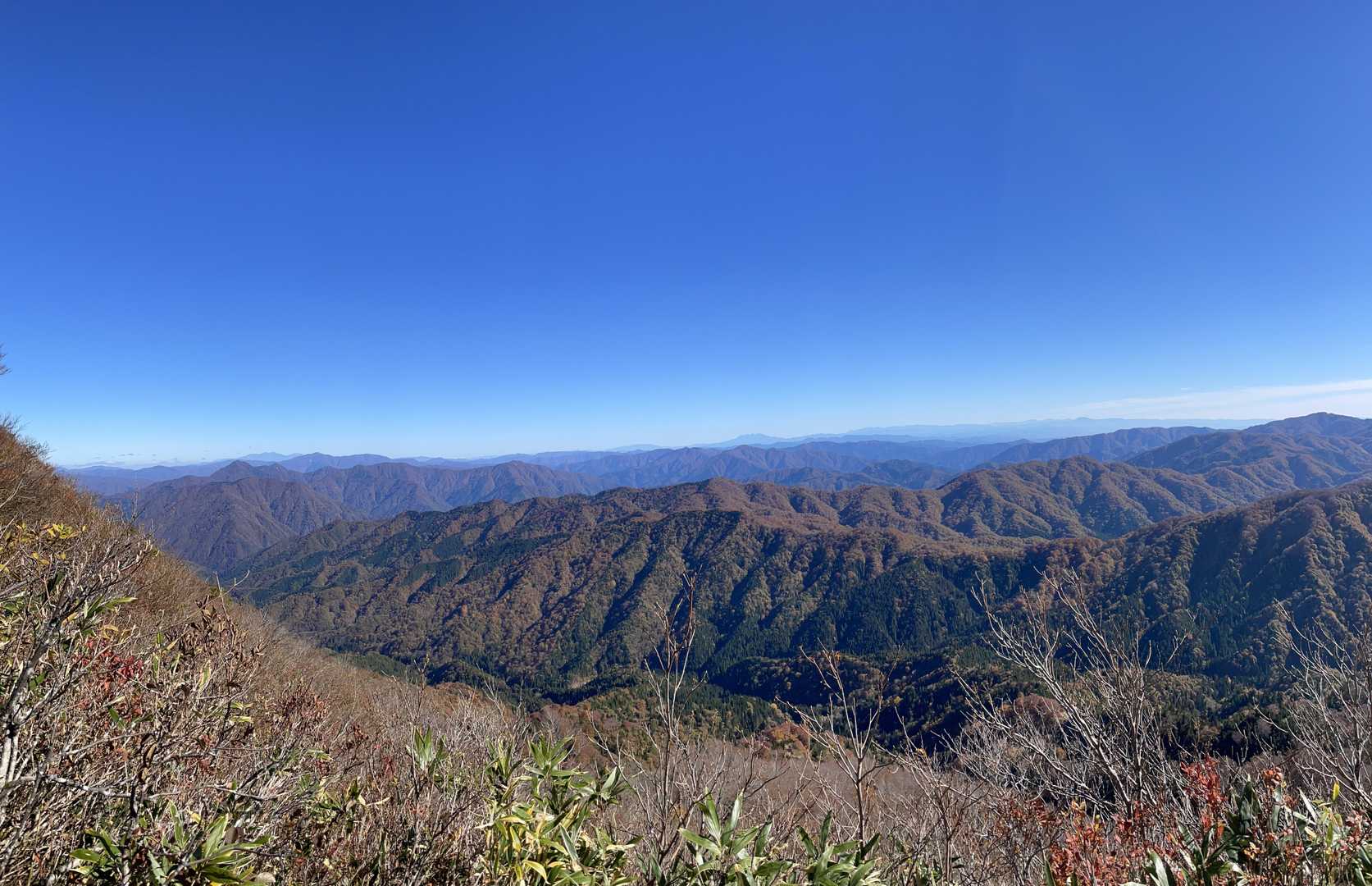 良い天気です