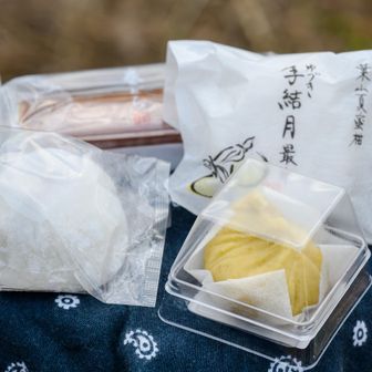 巻きどら
夏蜜柑ゆづき最中
栗大福
栗茶巾

甘さ控えめで香りがよくとっても美味しかった！