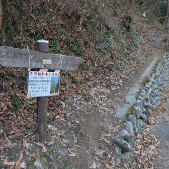 これ登ってはいけません❌️舗装路を進みましょう！僕は登ってスタートから道間違えました😂