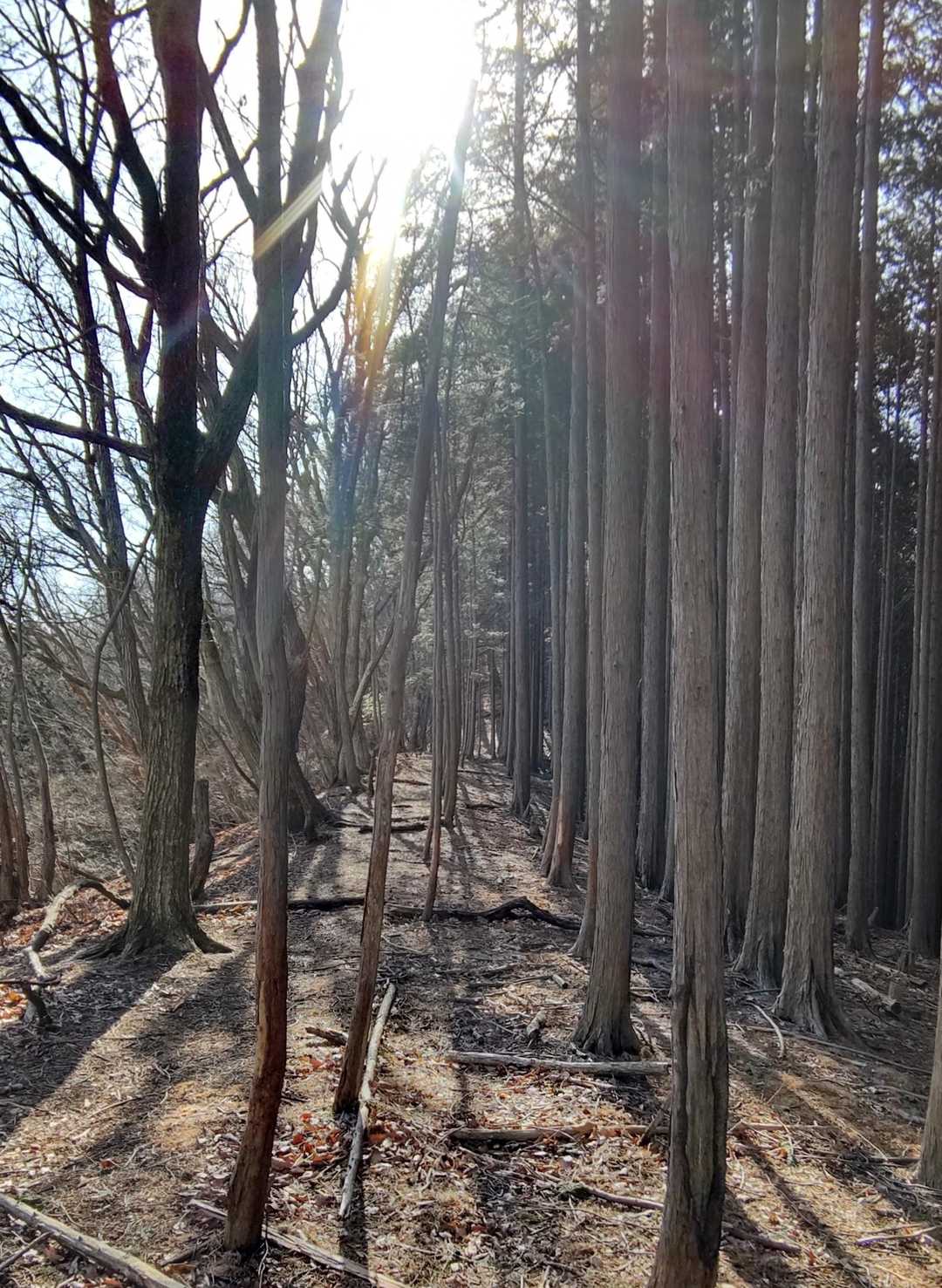 不動岳までのんびり尾根歩き