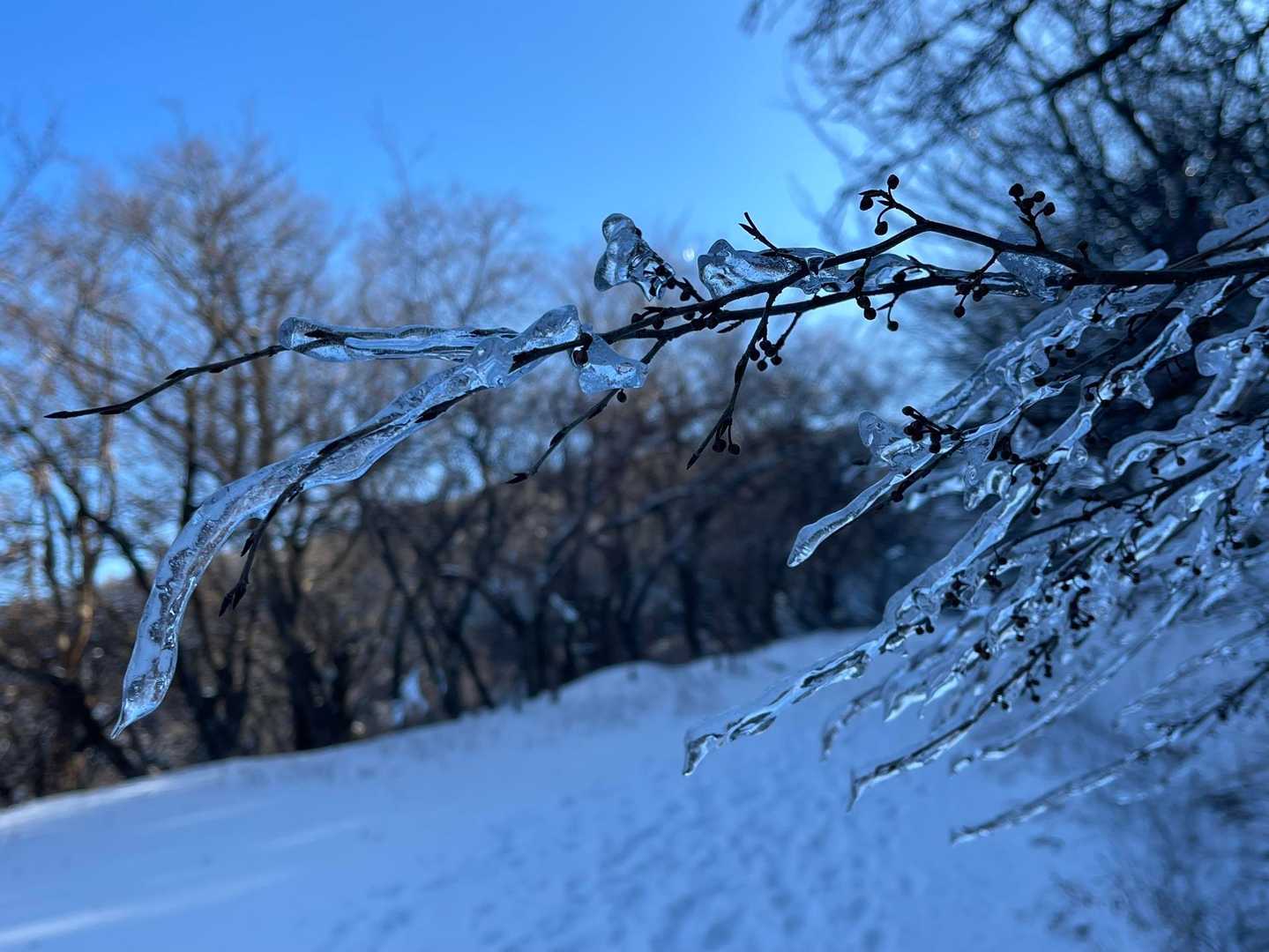 日陰はひんやり〜❄️