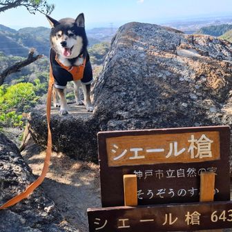 
🐶山頂 取ったどぉ‼️槍ましたぁ😆