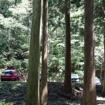 無事下山。
霊水には行列。