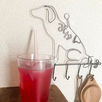 みかん🐕‍🦺🍊