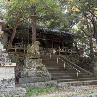 下山します🚶‍♂️
大和八木駅まで歩いて今日はおしまい😊
おつかれ山⛰️