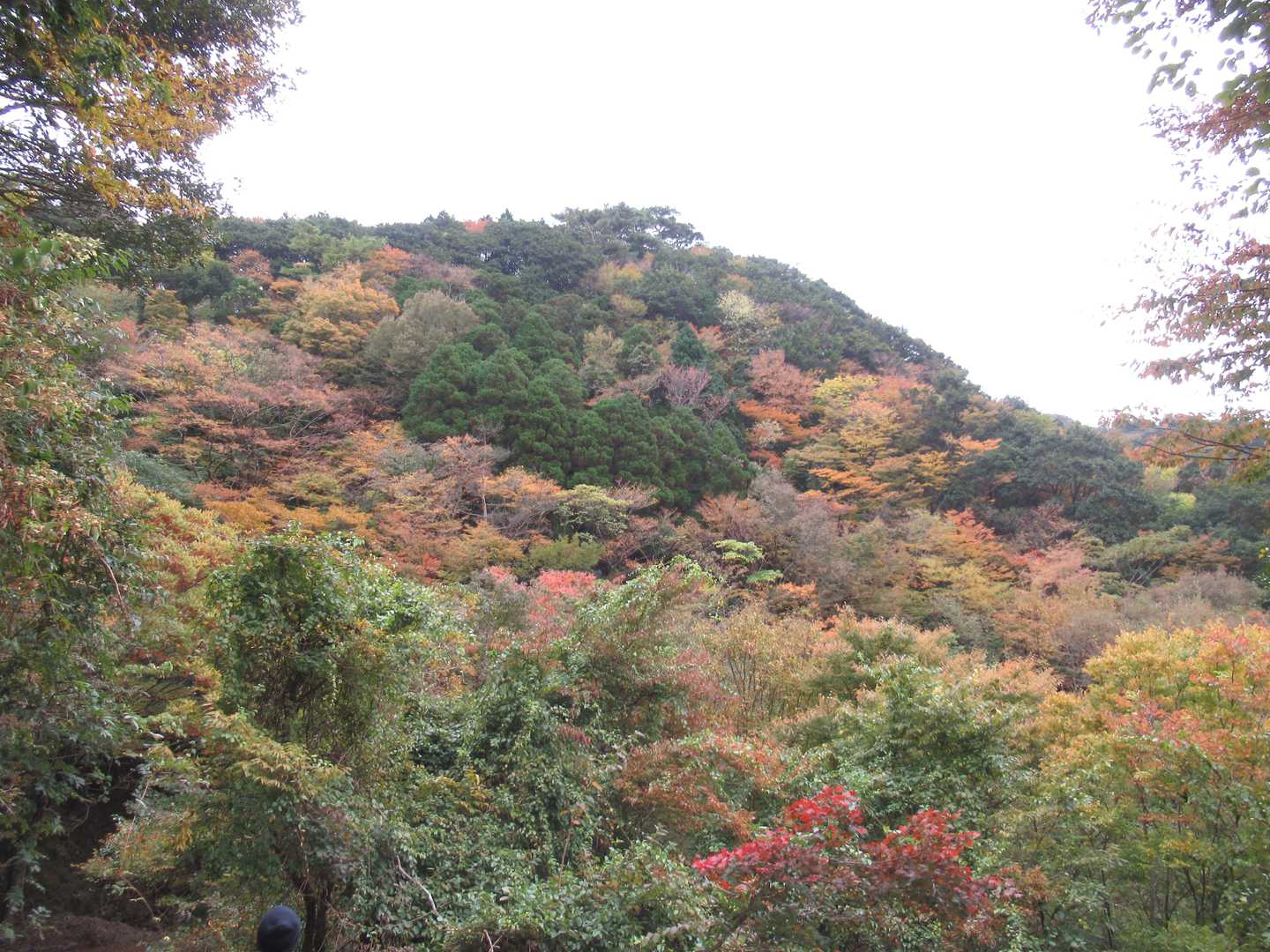 山々の紅葉を見ながら・・・
