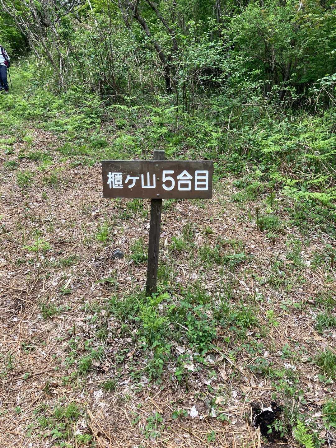 五合目到着　予定より40分早い
下ってもらうのに一生懸命
激下り写真を撮るの忘れてた
