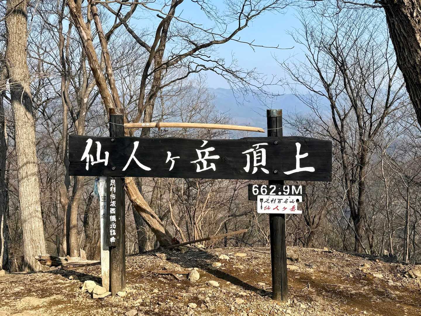 仙人ヶ岳⛰️