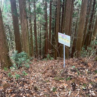 帰り道。下って行きます