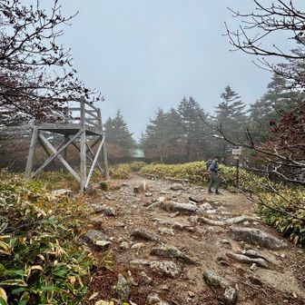 苦行の末にようやく登頂…

ここに来るまでに山友さんから３回ほど、
「あと10〜15分くらいかな？」
という言葉に騙される（笑）😑

「あと15分詐欺」と命名