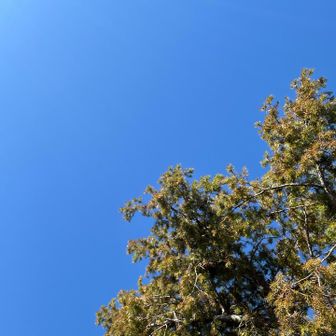 空がきれいすぎる