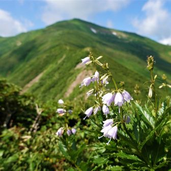 朝日連峰（日暮沢→狐穴小屋）-2023-07-22~23- / 2236の登山データ