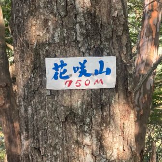 おなじみの書体の看板も。
こちらからザレた急斜面が続きます