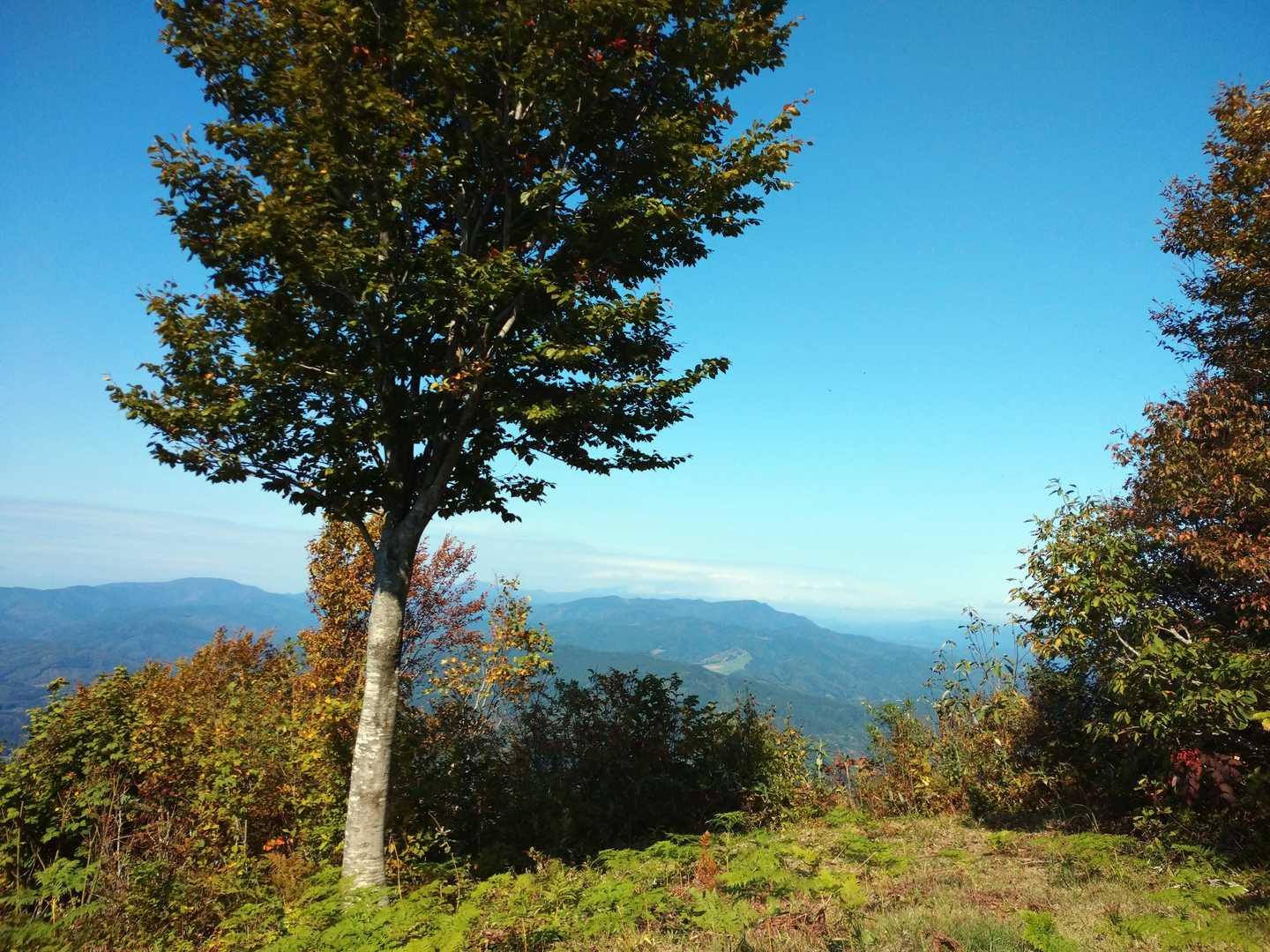 鳥居-石碑-お隣堂-南郷岳 往復コースの写真