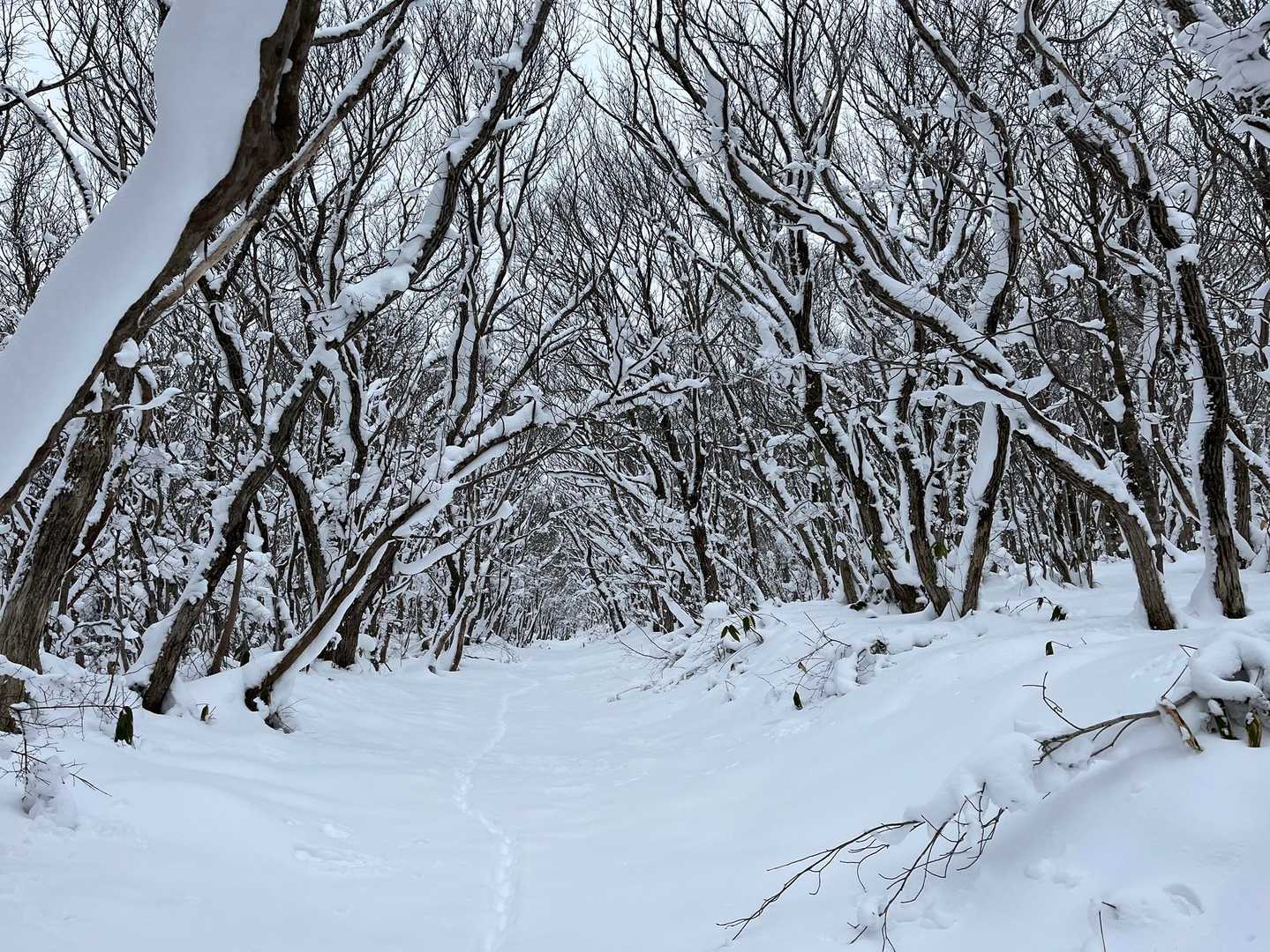 曇天だがいい景色