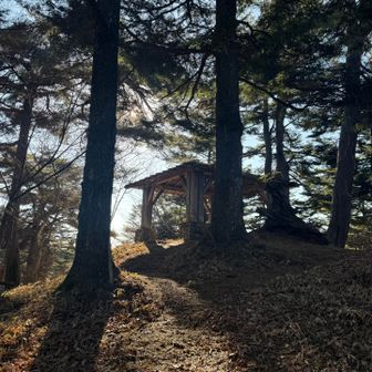 円塚山
標識なし東屋だけ
降ってくと御岳山ビジターセンターのところに合流しました