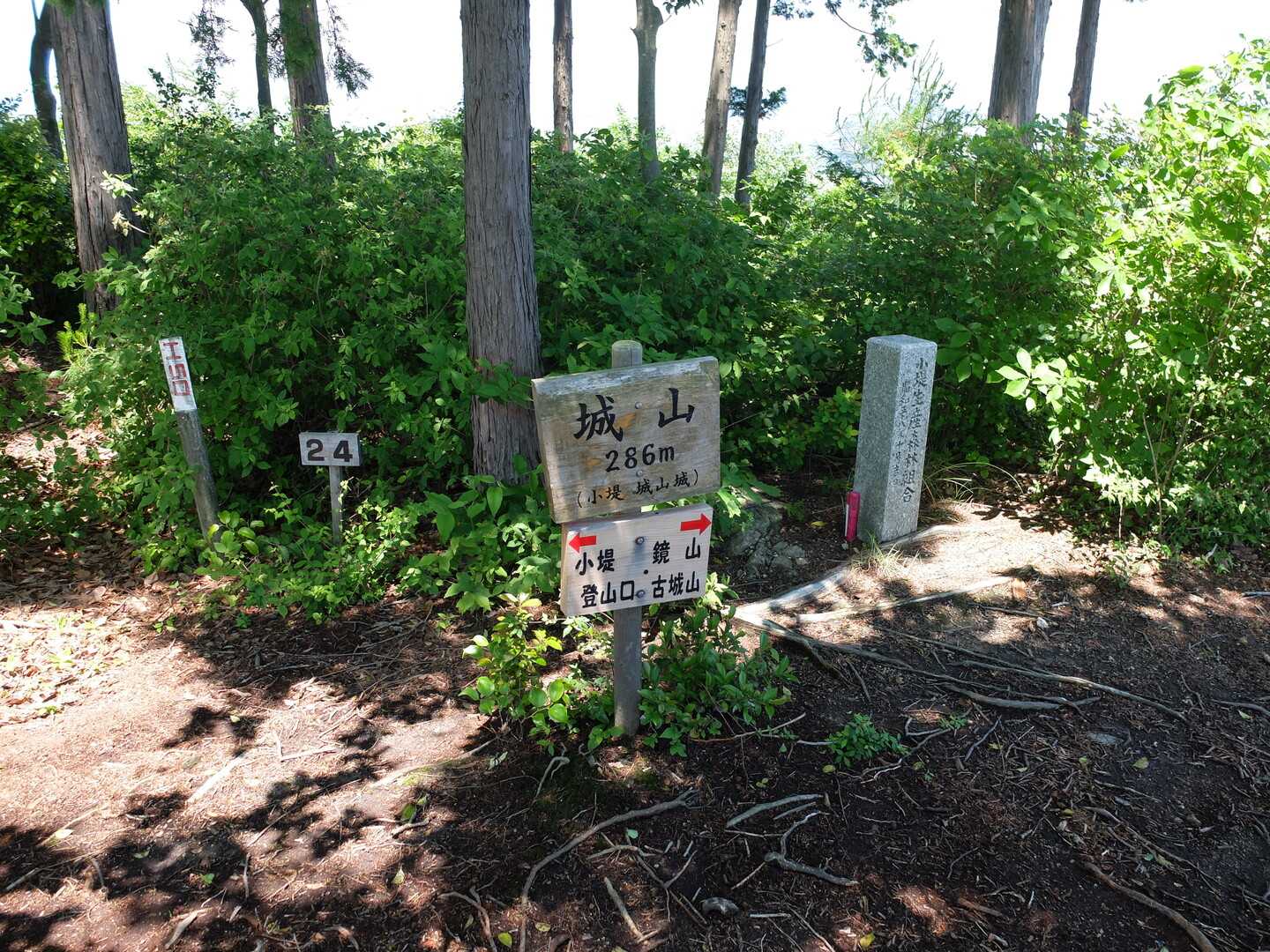 城山の写真