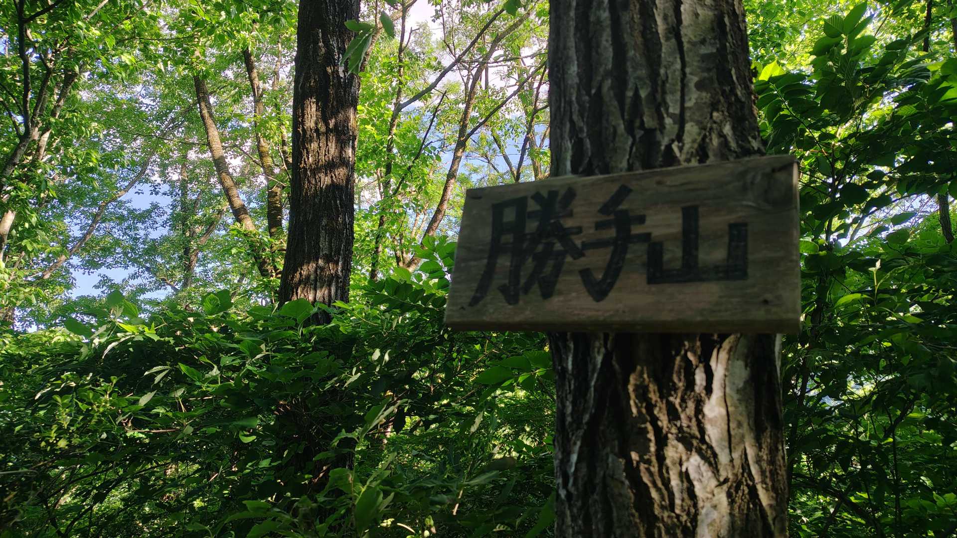 　勝手山👍