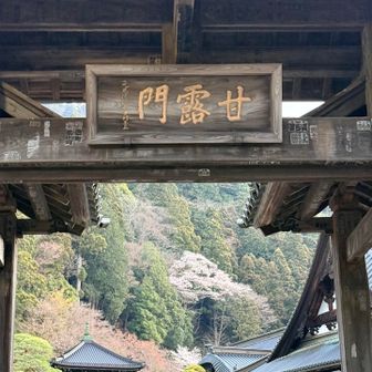 なんか門と奥の景色が良い