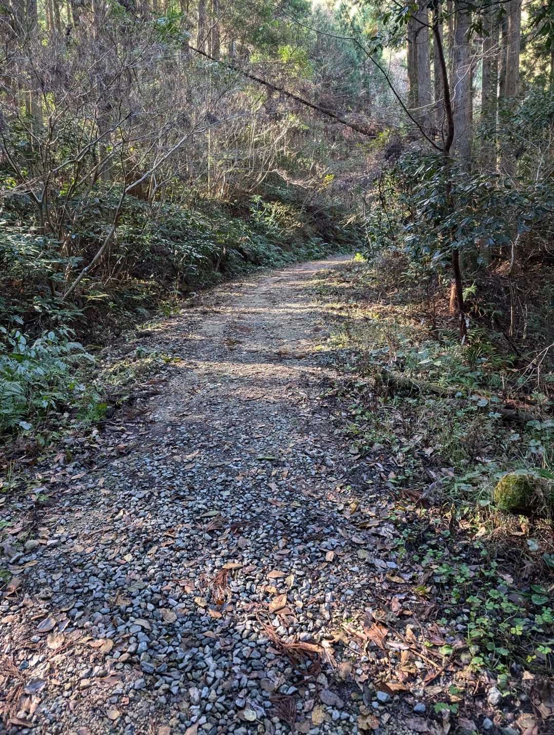 天拝山公園側から出発！
公園のトイレも、洋式で綺麗でした😊
公園内から登ろうとしてたら、管理人さんが、そっちじゃないと😅
一旦駐車場でて、駐車場と駐車場の間から、入りました💦
改めて出発😊しばらく舗装路だったのであろう道を進みます