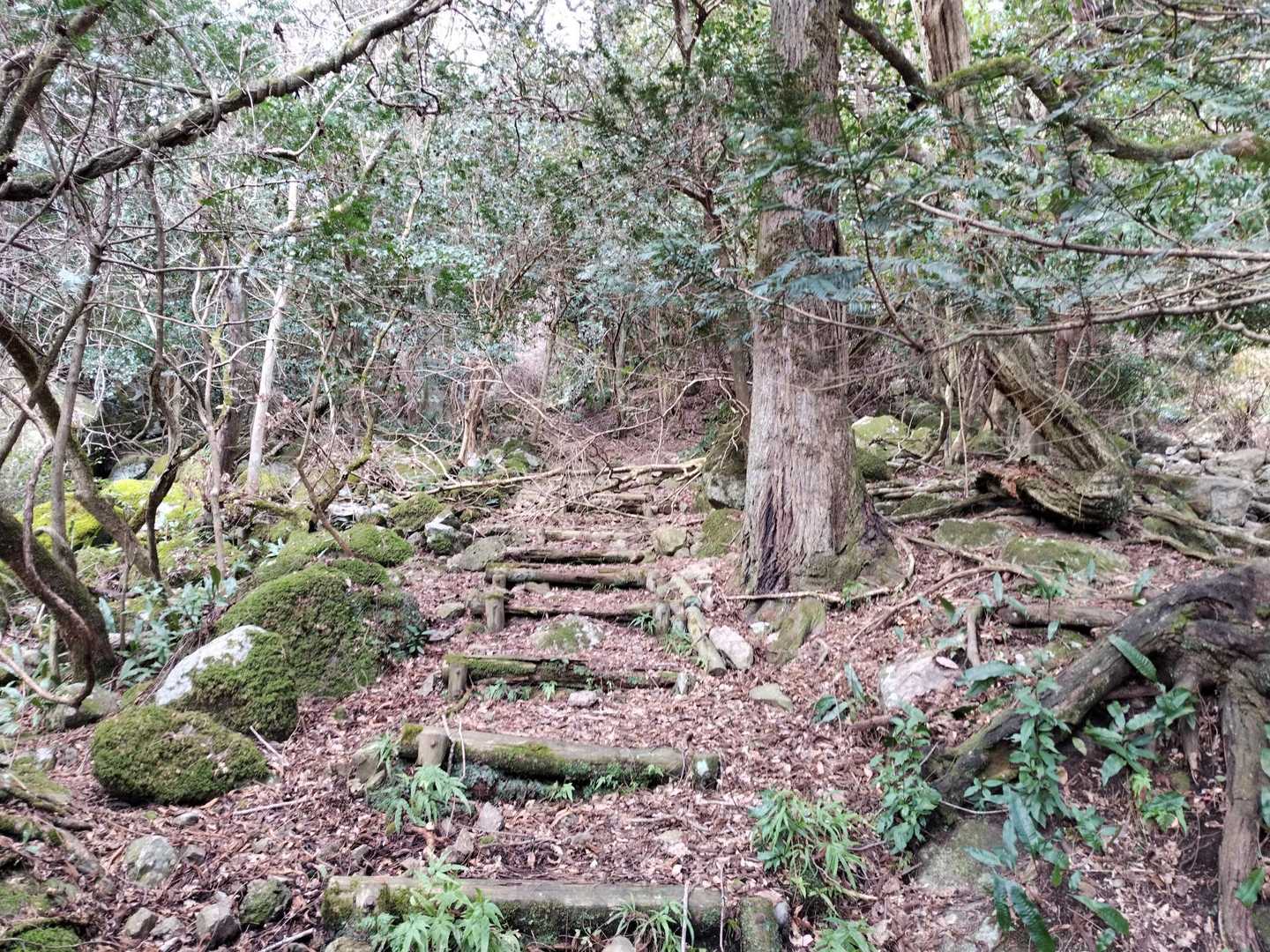 階段