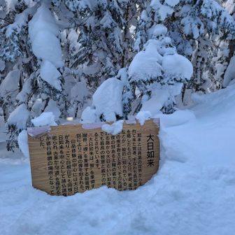 大日如来でした
神仏習合の日本らしさ