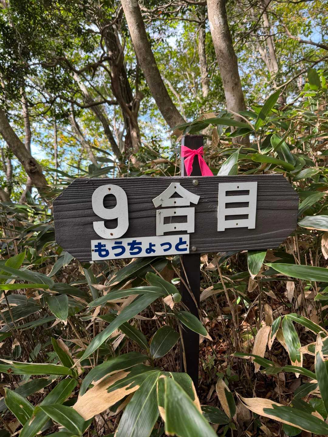 もうちょっと🤣