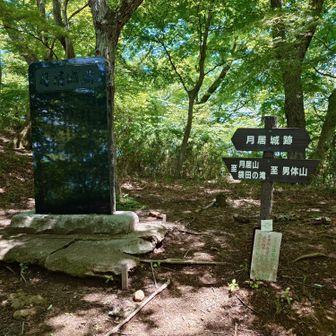 山頂は左奥らしい。