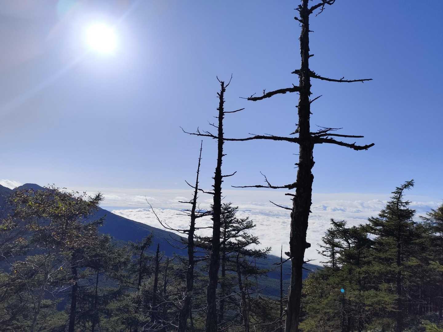晴れてくれた