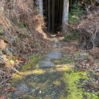 登山口を振り返って。
この後車で山荘梶ヶ森へ向かいました。