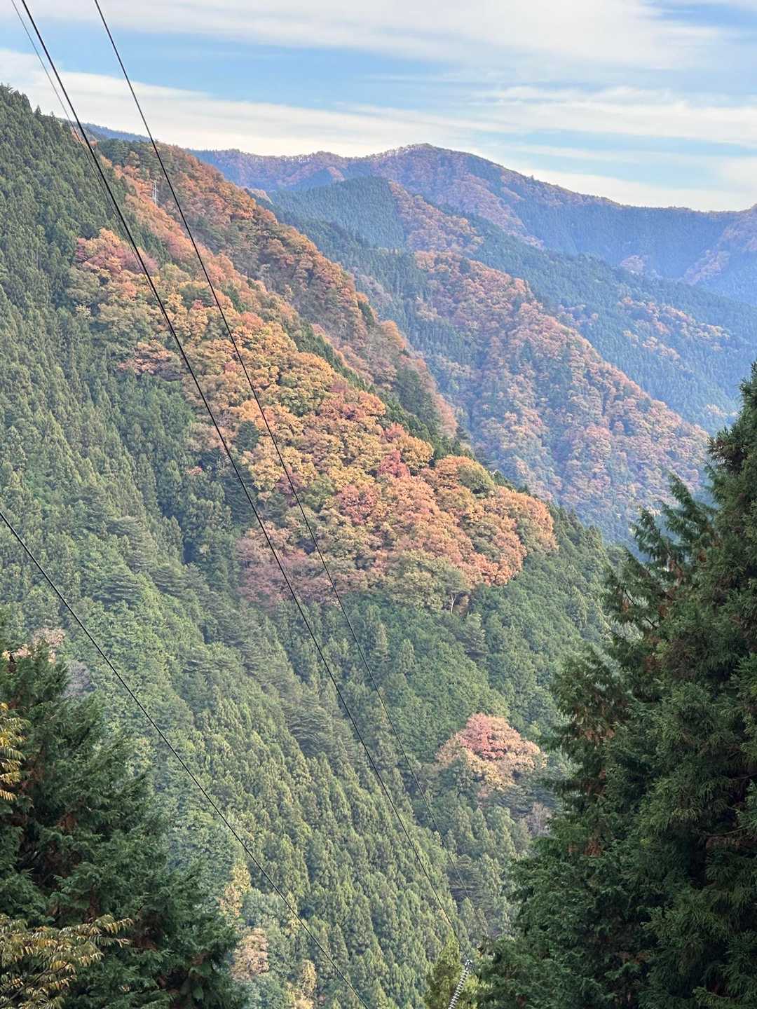 愛宕山-鋸山 往復コースの写真