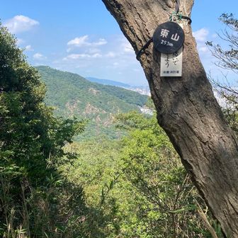 東山到着。須磨アルプスからここに至るまでが今日1番暑かった