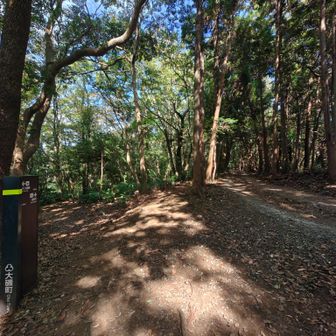 しばらくで山道に