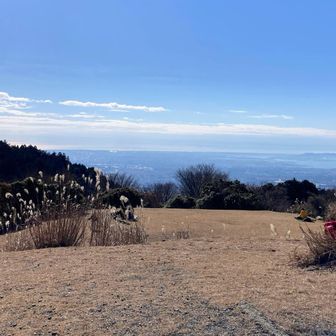 山頂789m
広々、あったかい日中でした☀️