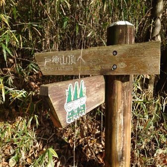 虚空蔵菩薩堂の駐車場からスタート👣