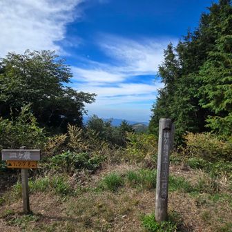 山頂着
16度でした