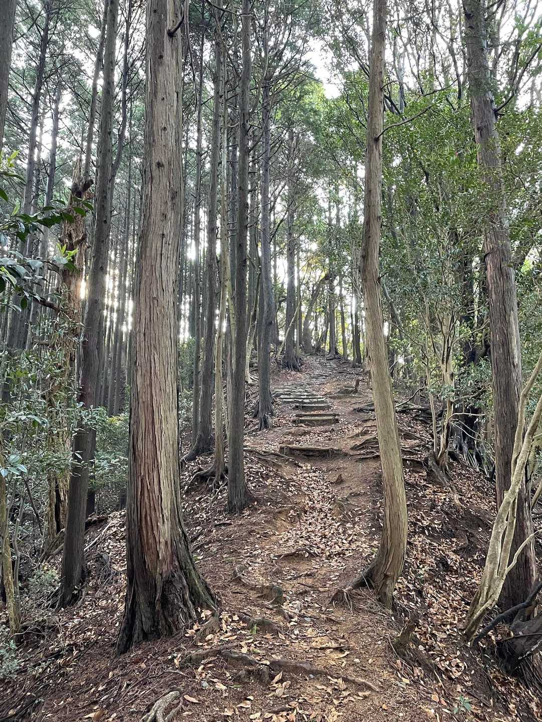 調子が良ければ四方草山まで行けるといいな♩
