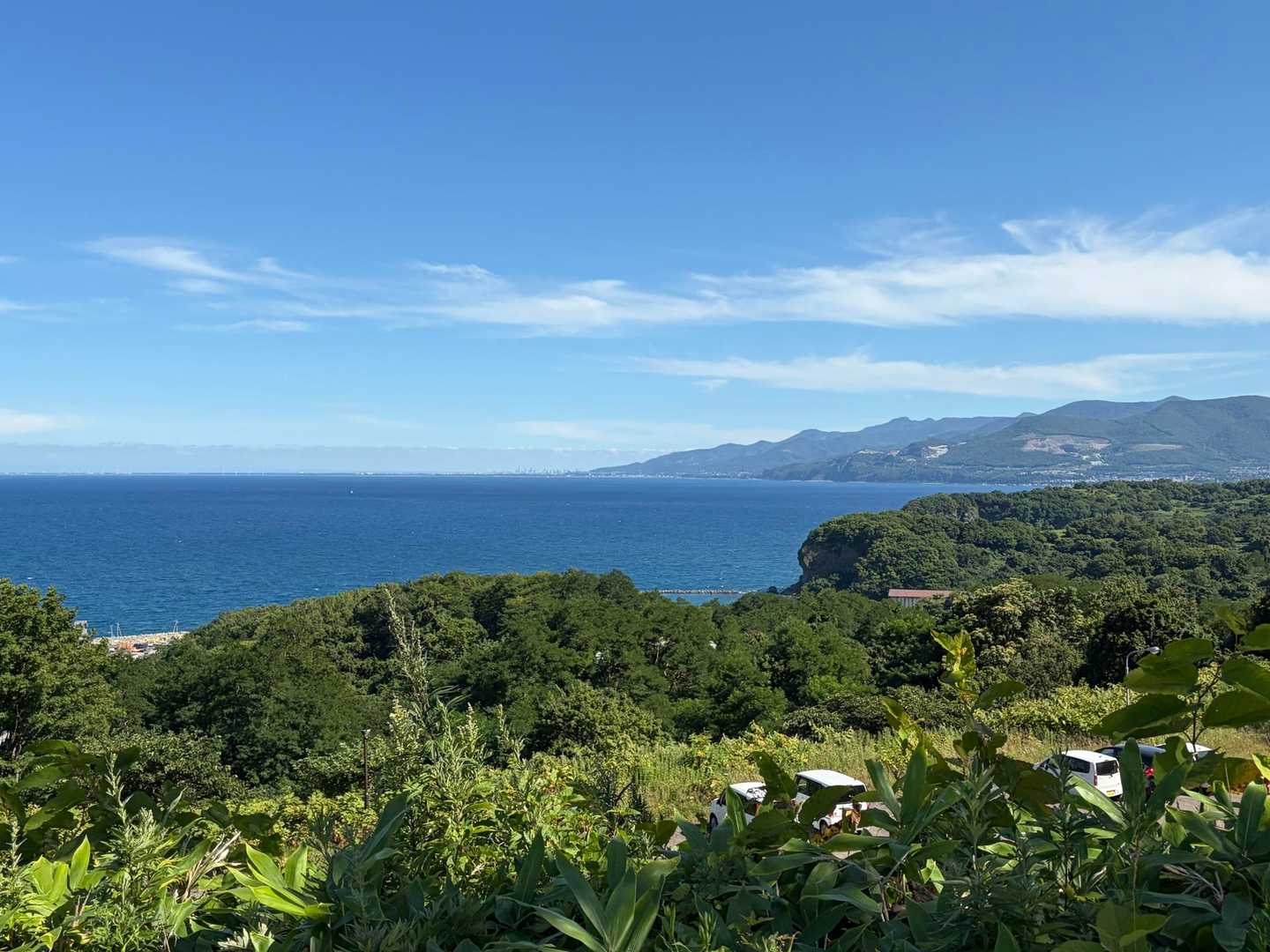 海が青い🌊