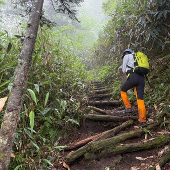 鉢山へは距離はないけど
段差が大きくなんか大変💦
