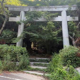 ありがとうございました♪