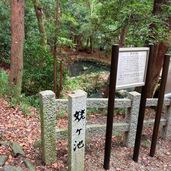 姥ケ池
ちょっと悲しく怖い😱
物語が書いてあった
