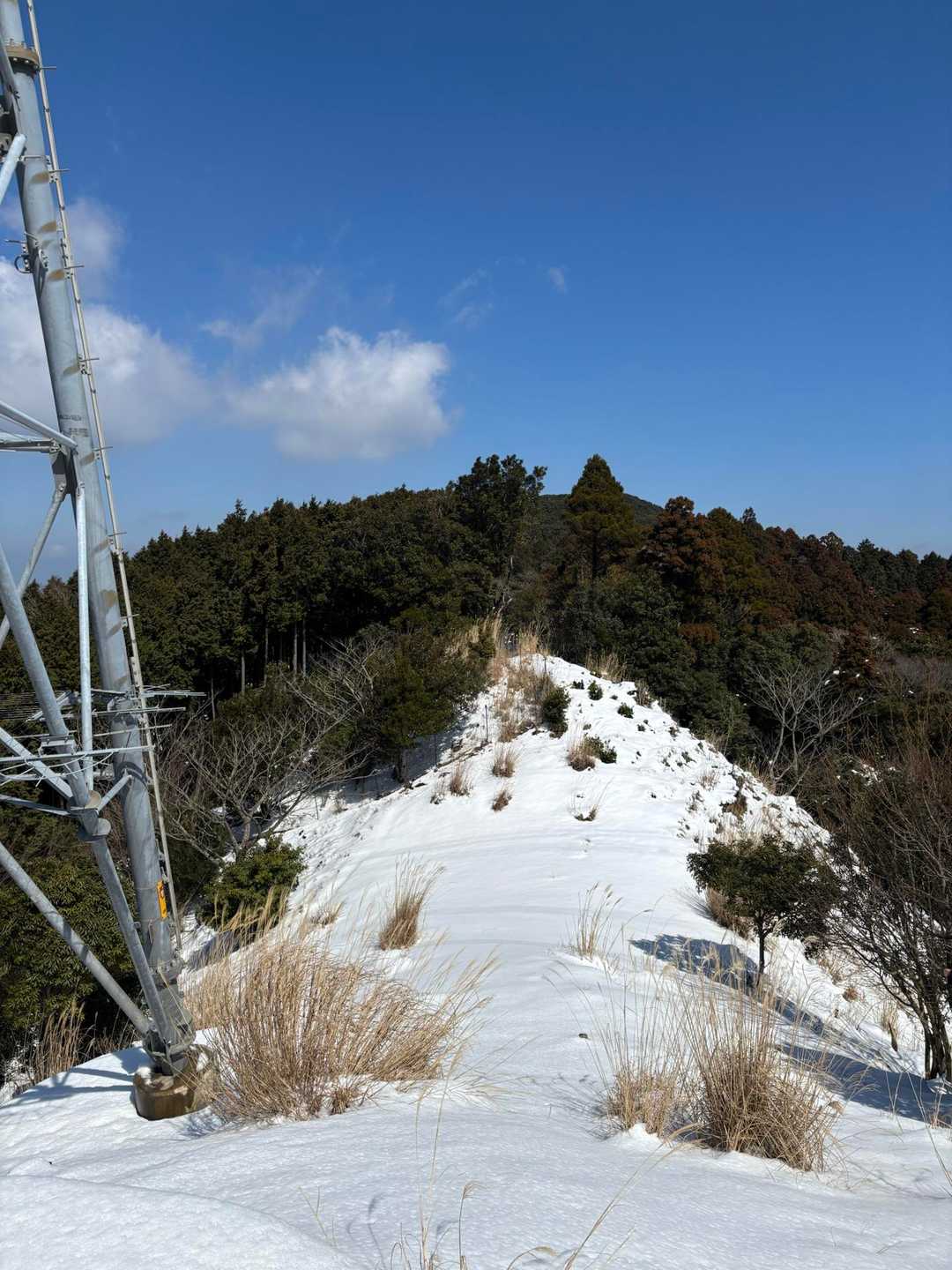 西山目指し