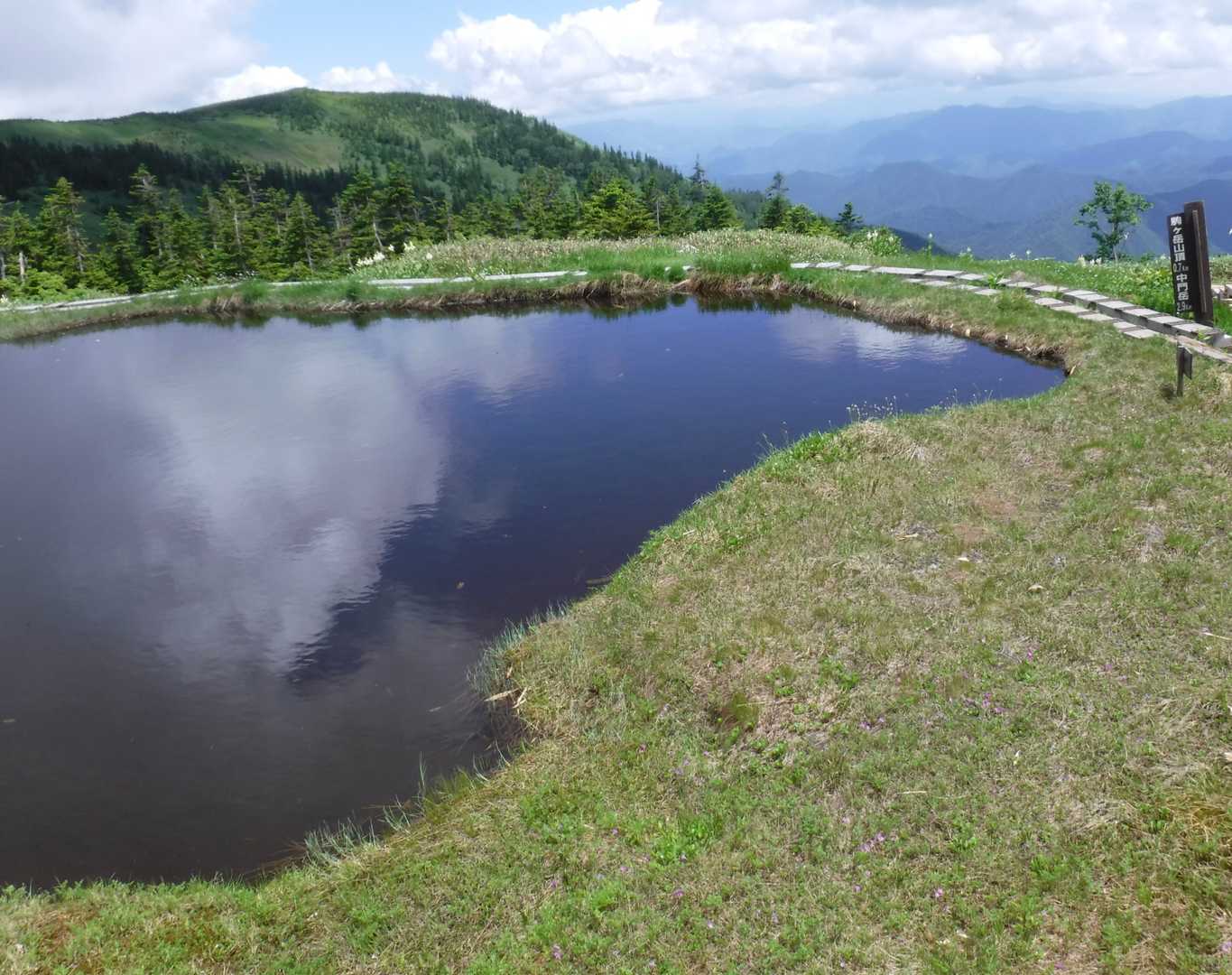 映えスポットですよね〜