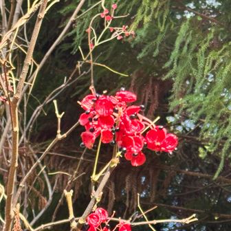 無事に下山
おつかれやま🏔️