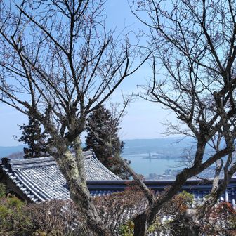 明王堂から南を見れば、桜かと思いきや、終わりの梅と琵琶湖。　無動寺道の途中に、上がっていく階段の先に「大乗院？」のお堂があったみたいだったんだけど、「立入禁止」てなっていて行けなかった。(;_;)