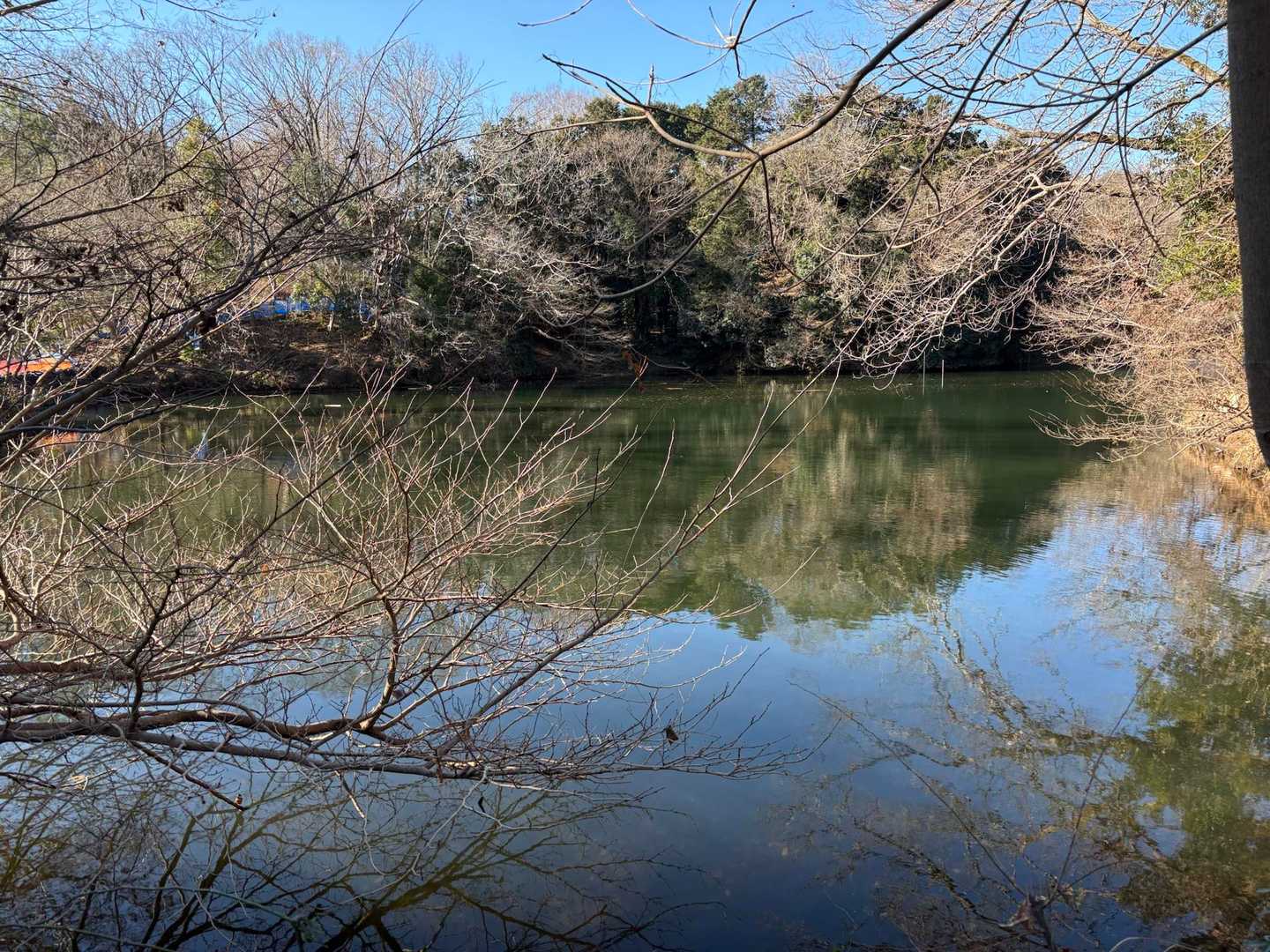 震生湖に到着