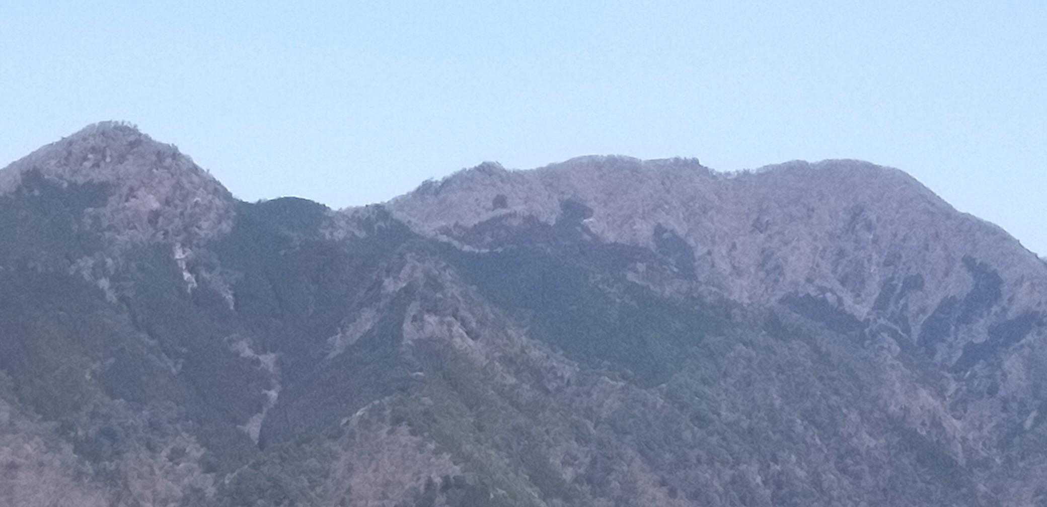 これも