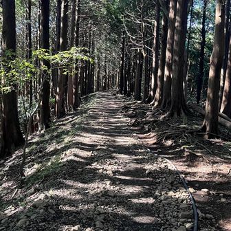 良き道