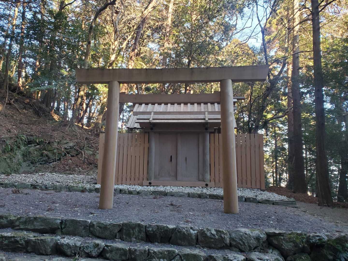鴨神社に参拝⛩️